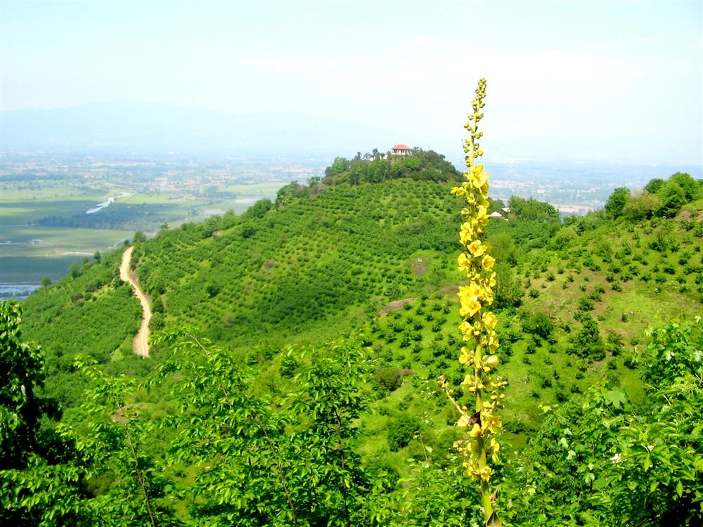 Toptepe Seyir Terası