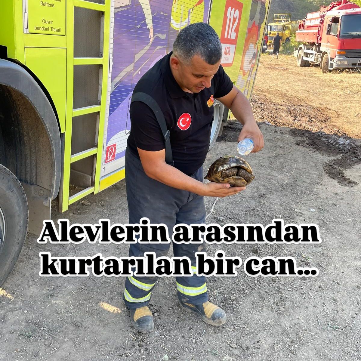 Gümüşova- Yeşilyayla Köyü